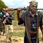 Killings Resume in Katsina as 15 Die in Jibia Clashes